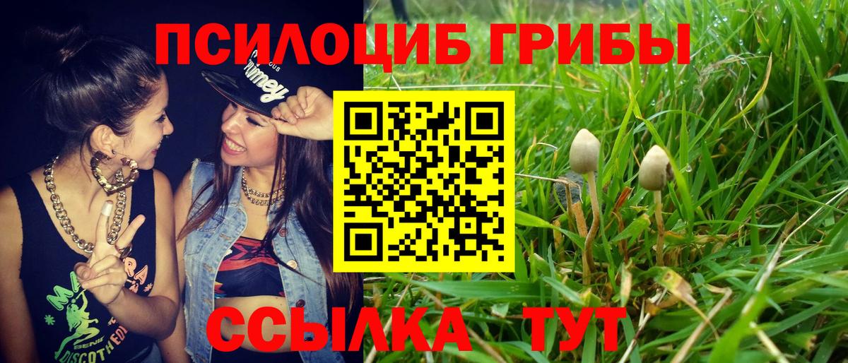 Галлюциногенные грибы MAGIC MUSHROOMS  Вход с VPN  Санкт-Петербург 